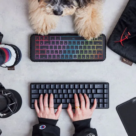 Play Pet HyperX x P.L.A.Y. 2