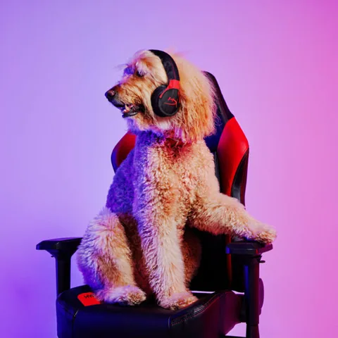 Play Pet HyperX x P.L.A.Y. 5