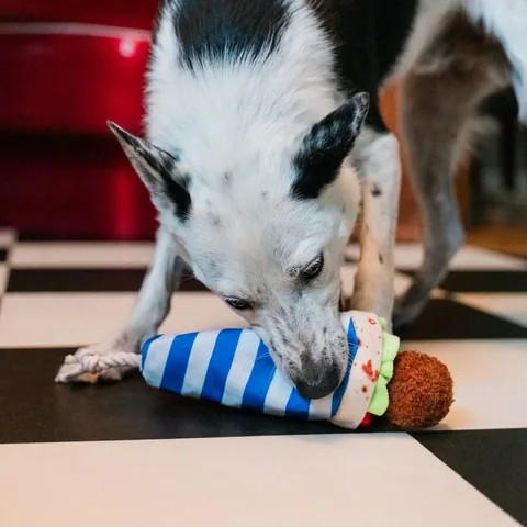 Play Pet International Classic 國際經典美食系列 3