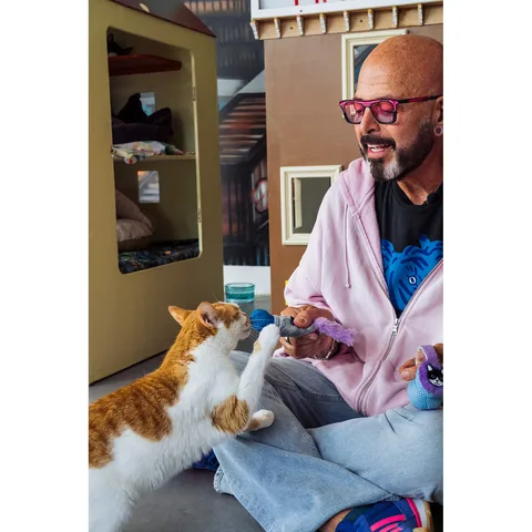 P.L.A.Y. Jackson Galaxy x 狂野猫咪 麦克风耳机双人组 2