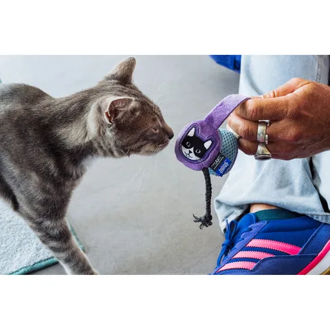 P.L.A.Y. Jackson Galaxy x 狂野猫咪 麦克风耳机双人组 4