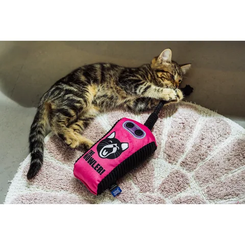 P.L.A.Y. Jackson Galaxy x 狂野貓咪 效果器兔踢玩具 3