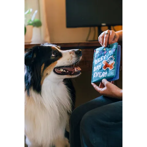P.L.A.Y. Party Animal Barkday Wishes 3