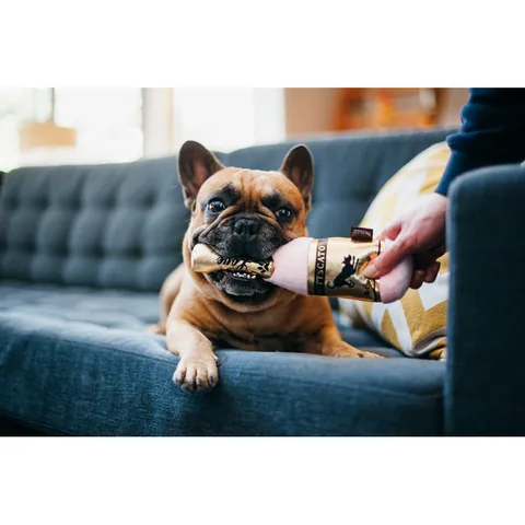 P.L.A.Y. Puppy Love Barking Bubbly 4