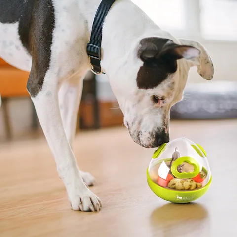 Play Pet Wobble Ball 2.0 沃比搖擺球 5