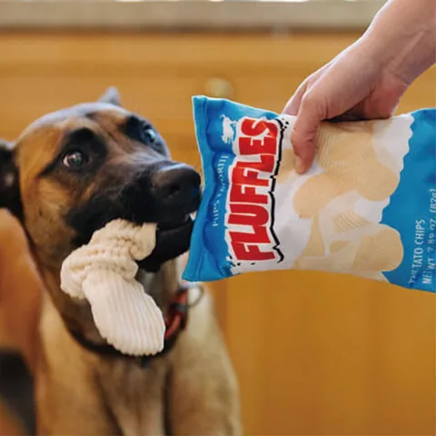 Play Pet Snack Attack 零食特攻隊 2