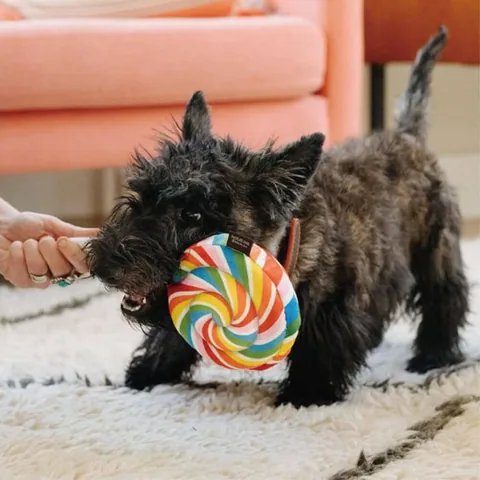 Play Pet Snack Attack 零食特攻隊 3