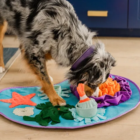 P.L.A.Y. Snuffle Mat Collection 3