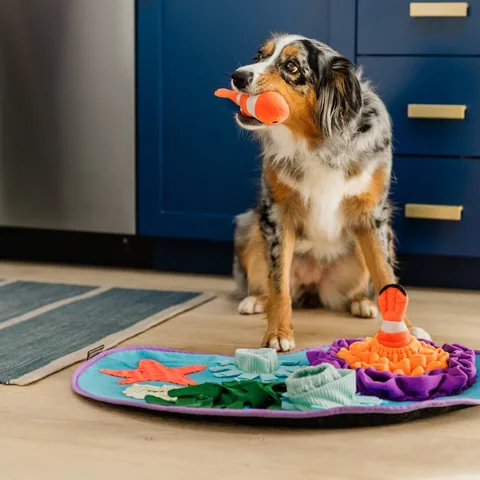 P.L.A.Y. Snuffle Mat Collection 4