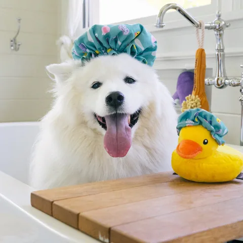 P.L.A.Y. Splish Splash Collection 4