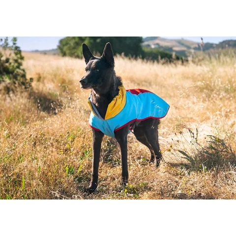 P.L.A.Y. Trailblazing Coat 5