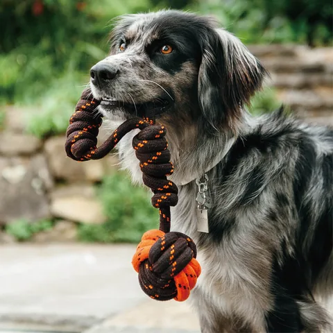 P.L.A.Y. Tug Ball Rope 3