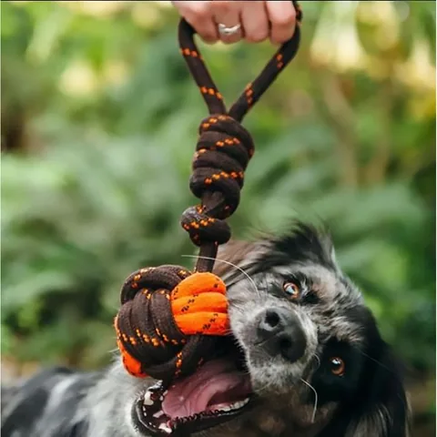 P.L.A.Y. Tug Ball Rope 5