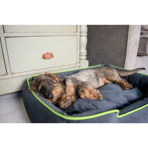 P.L.A.Y. Urban Plush Lounge Bed 城市絨布四邊床 檸檬綠 南瓜橘 S M L XL 2