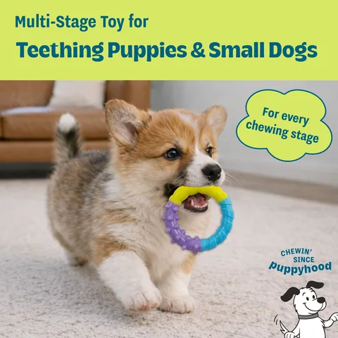 Pupstages 歐卡健齒環 2