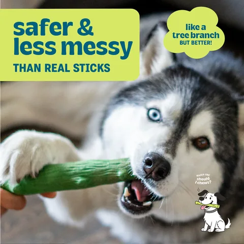 Pupstages Dogwood Original/Fresh Breath Dog Chew Toy – Large, 2-Pack 2