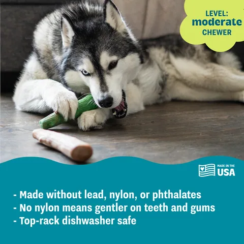 Pupstages Dogwood Original/Fresh Breath Dog Chew Toy – Large, 2-Pack 4
