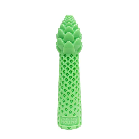 Pupstages Dental Asparagus Dog Toy – Green, Medium