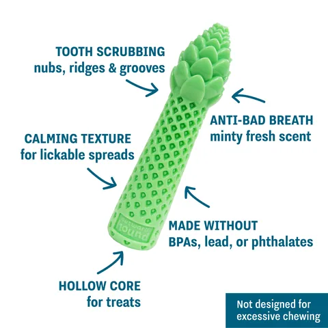 Pupstages Dental Asparagus 潔牙蘆筍玩具（綠／M） 3