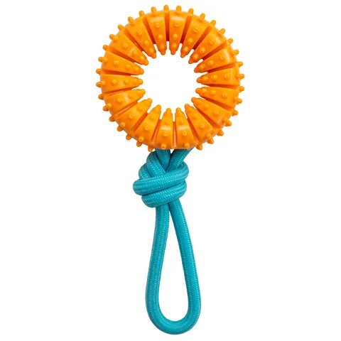 Pupstages Dental Chew Wheel – Orange