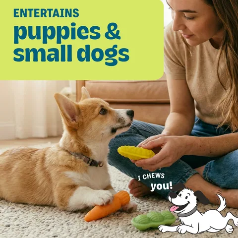 Pupstages Flex-Force Veggie Dog Toy – Multicolor, Small, 3-Pack 2
