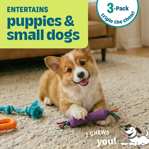 Pupstages Flex-Force Chew 咀嚼玩具 3 入組（多色／S） 2