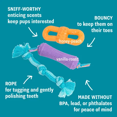 Pupstages Flex-Force Chew 咀嚼玩具 3 入組（多色／S） 3