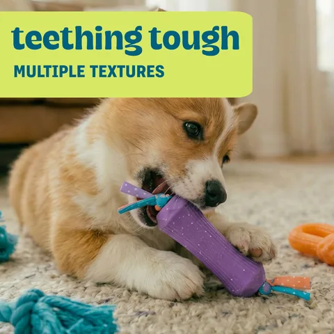 Pupstages Flex-Force Chew 咀嚼玩具 3 入組（多色／S） 4