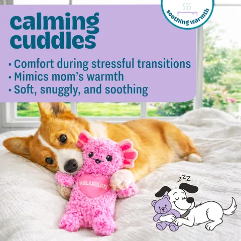 Pupstages Comfort Axolotl 蠑螈造型安撫絨毛玩具（粉） 2