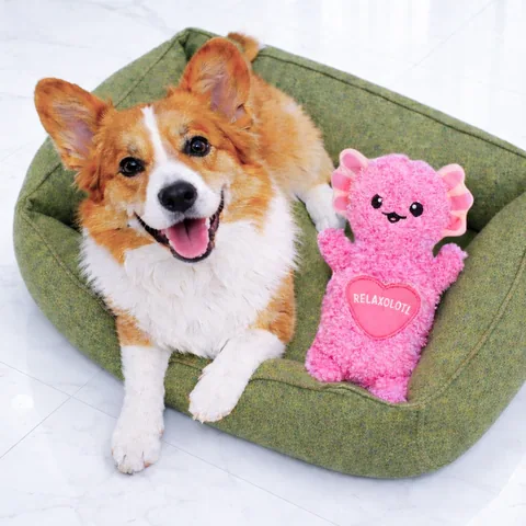 Pupstages Comfort Axolotl 蠑螈造型安撫絨毛玩具（粉） 5