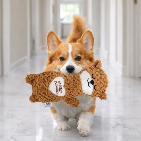 Pupstages Comfort Plush 水獺造型狗玩偶（棕） 5