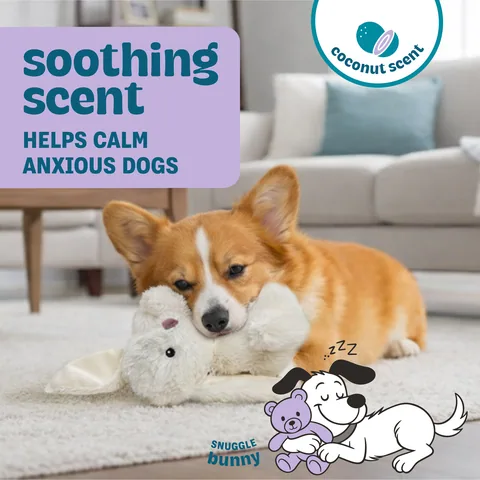 Pupstages Calming Plush Buds 兔子造型陪伴玩偶（白／S） 2