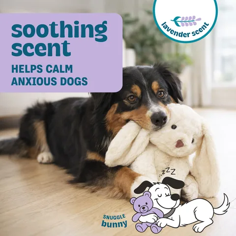 Pupstages Calming Plush Buds 兔子造型陪伴玩偶（白／L） 2