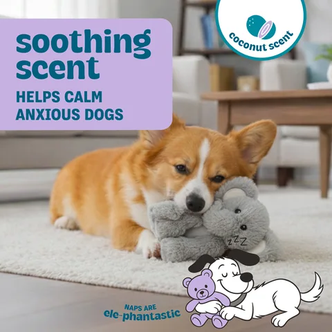 Pupstages Calming Plush Buds 大象造型陪伴玩偶（灰／S） 2