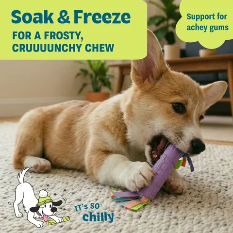 Pupstages Cool Teething Stick 幼犬冰感磨牙棒（多色） 4