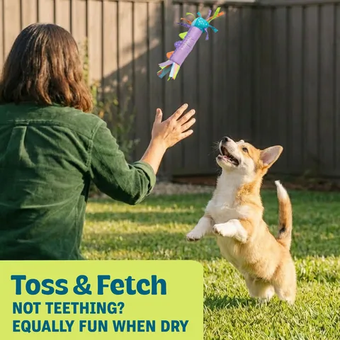 Pupstages Cool Teething Stick 幼犬冰感磨牙棒（多色） 5