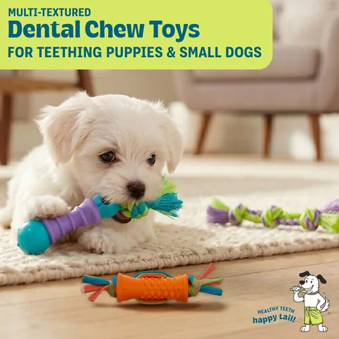 Pupstages Dental Chew Pack Mini 迷你潔牙玩具三入組（多色／S） 2