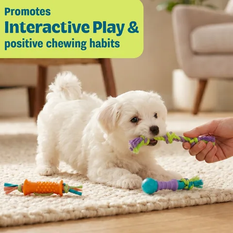 Pupstages Dental Chew Pack Mini 迷你潔牙玩具三入組（多色／S） 4
